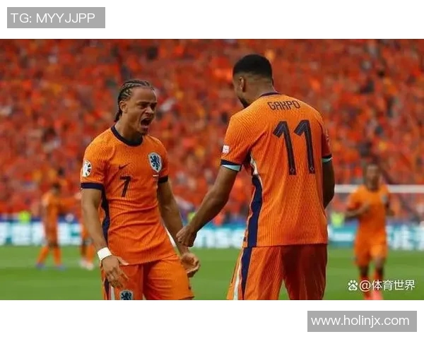 荷兰与奥地利激战正酣足球盛宴引发球迷热情高涨